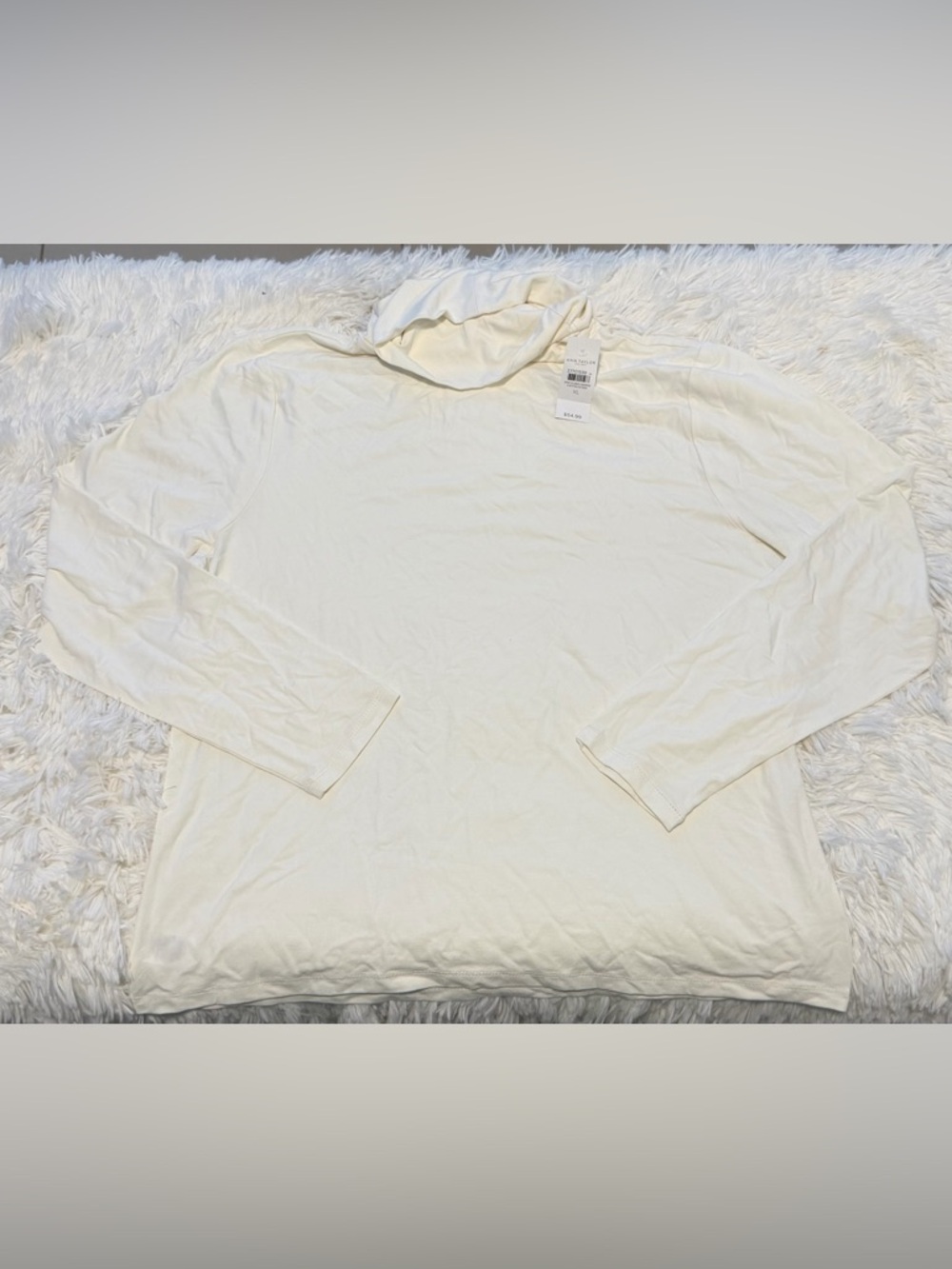 Ann Taylor Cream Lightweight Hooded Long Sleeve Top